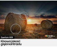 Samsung TV SAMSUNG 50" QE50Q67BAU QLED 4K Tizen DVB-T2/HEVC # - 1461479 - zdjęcie 7